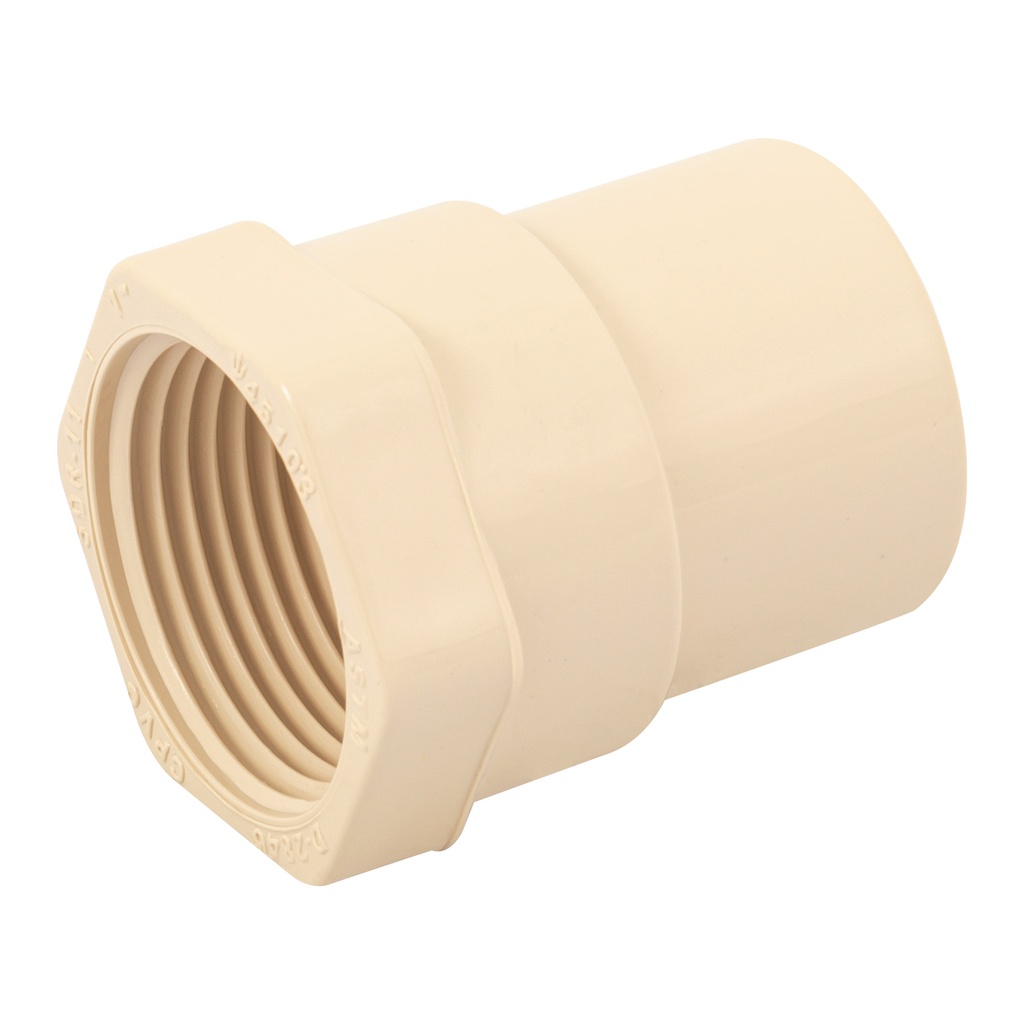 Conector de cpvc cuerda interior de 1"