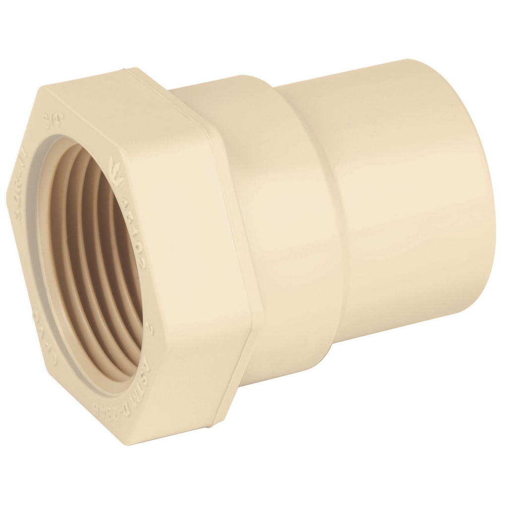 Conector de cpvc cuerda interior de 3/4"