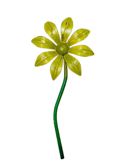 Girasol con tallo izquierdo