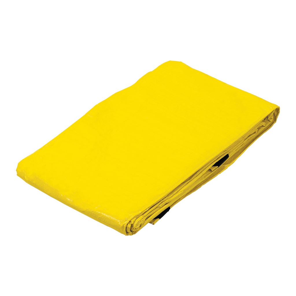 Lona 5 x 6 mts amarilla