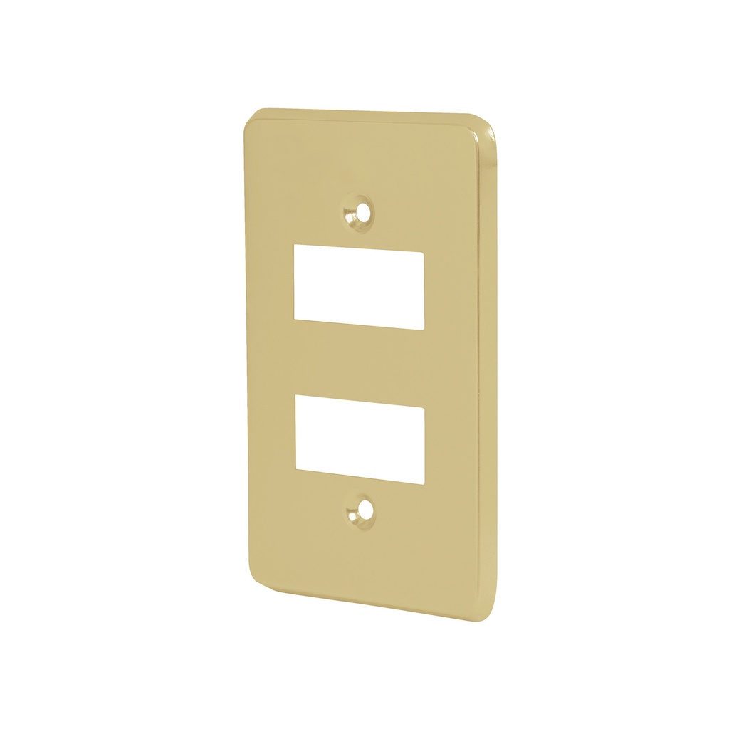 Placa de 2 modulos color aluminio económico