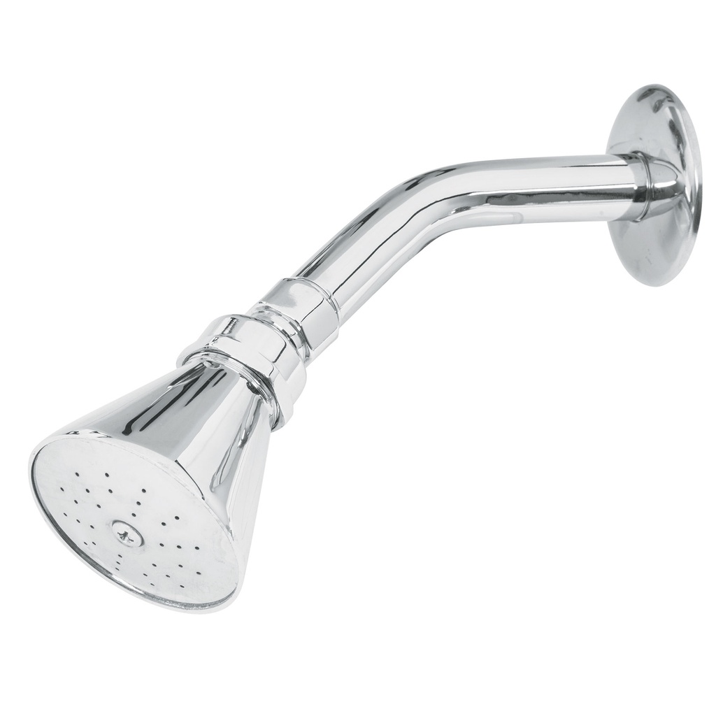 Regadera conica de 2 1/2"