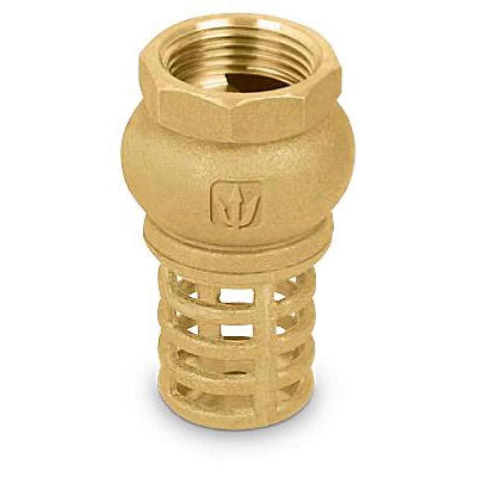 Valvula pichancha de latón con rejilla de 1 1/4"