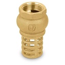 [49046] Pichancha con rejilla de laton de 1".