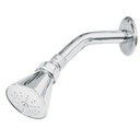[49448] Regadera conica de 2 1/2" con brazo y chapeton.