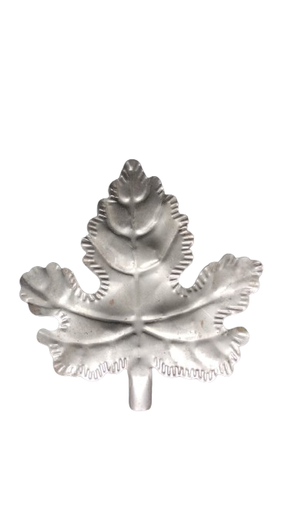 [FOR02016] Hoja de higuera.