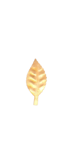 [FOR15034-7] Hoja limon.
