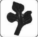 [HOJAA-008] Hoja decorativa de 6.4 cm x 8.1 cm.