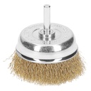 [11572] Carda de copa 2 3/4" alambre grueso para taladro.