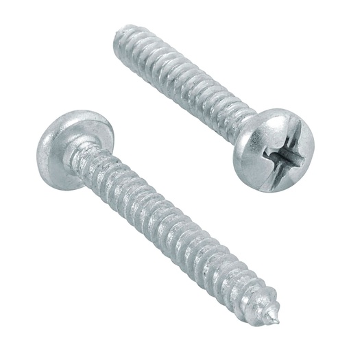 [44428] Paquete de 100 pijas para lamina de #12 x 1"
