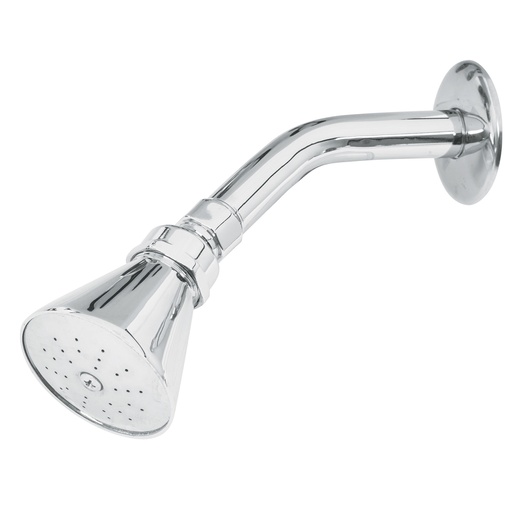 [49448] Regadera conica de 2 1/2"